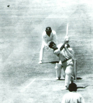 article banner