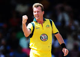 The Brett Lee Chapter : Domestic ...