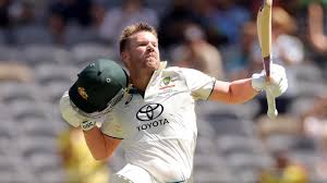 David Warner was Australia's leading ...